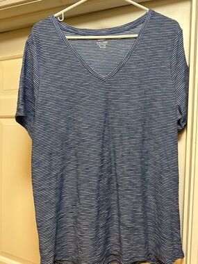 Woman’s Blue Striped V-Neck Shirt